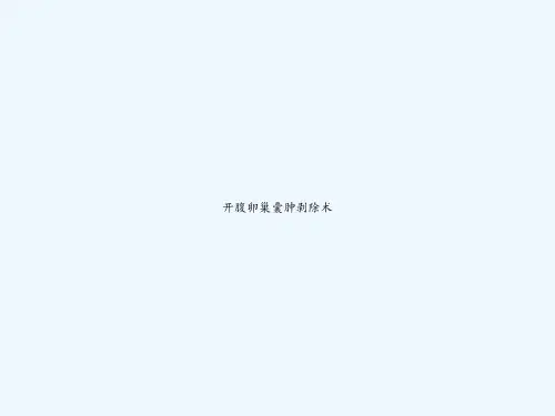 开腹卵巢囊肿剥除术 PPT