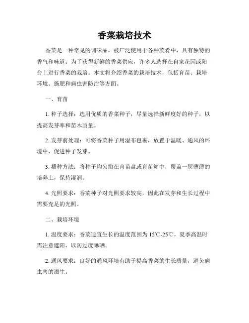 香菜栽培技术
