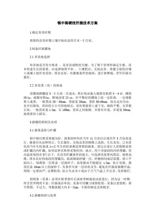 银中杨硬枝扦插技术方案