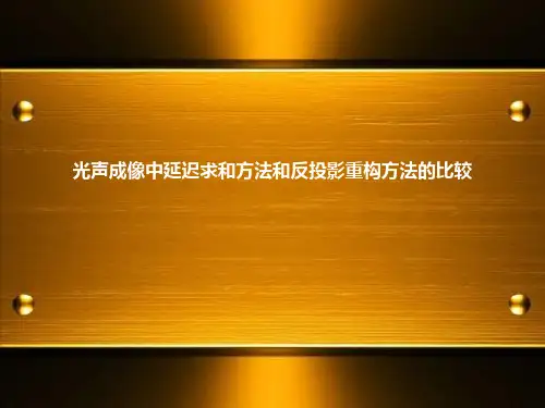 光声成像中延迟求和方法和反投影重构方法的比较ppt