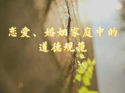 恋爱、婚姻家庭中的道德规范