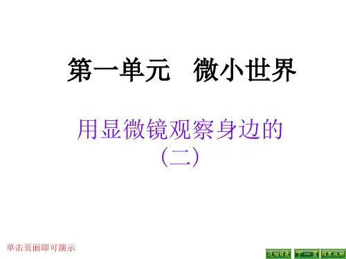 用显微镜观察身边的生命世界二ppt
