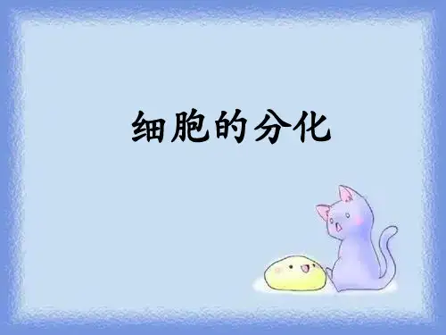 新人教版生物(必修1)6.2《细胞的分化》ppt