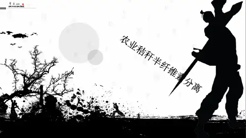 半纤维素