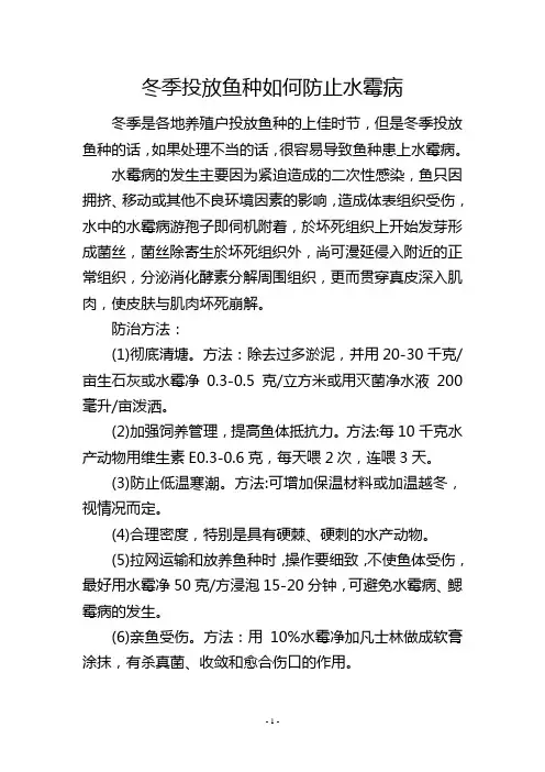 冬季投放鱼种如何防止水霉病