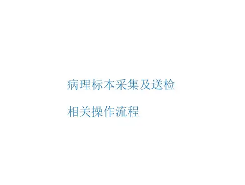 病理标本采及送检