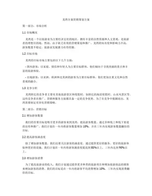 龙湾全案营销策划方案