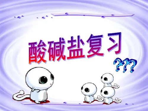初中化学-酸碱盐复习PPT课件5