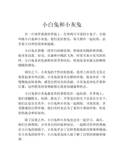 小白兔和小灰兔