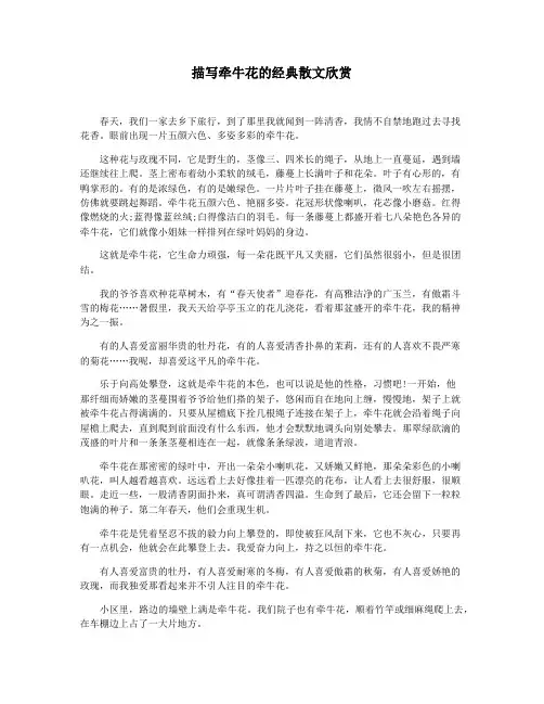 描写牵牛花的经典散文欣赏