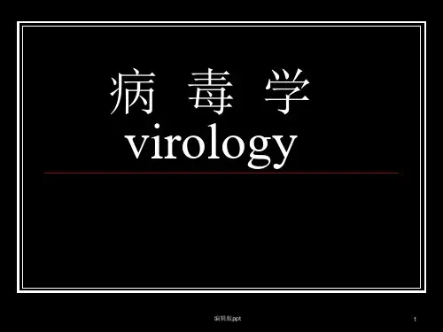 病毒的基本性状