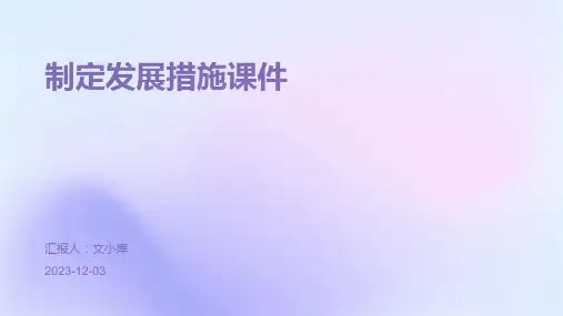 制定发展措施课件