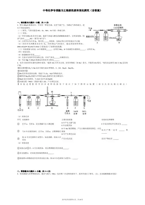 中考化学专项练习之物质性质和变化探究(含答案)