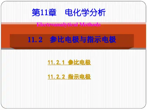 参比电极与指示电极