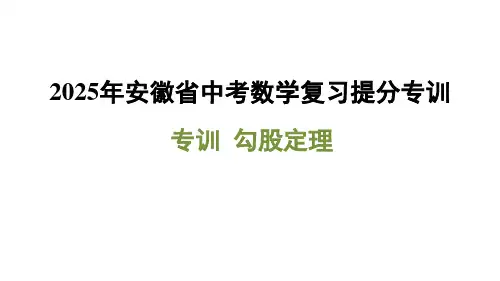 2025年安徽省中考数学复习提分专训(专训+勾股定理)