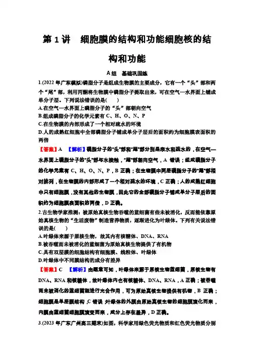 高考生物一轮复习第二单元细胞的基本结构细胞的物质输入和输出第1讲细胞膜的结构练习含答案