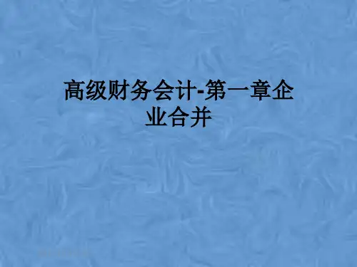高级财务会计-第一章企业合并
