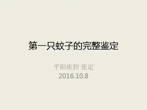 (骚扰阿蚊)第三步：第一只蚊媒鉴定