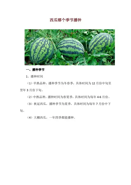 西瓜哪个季节播种