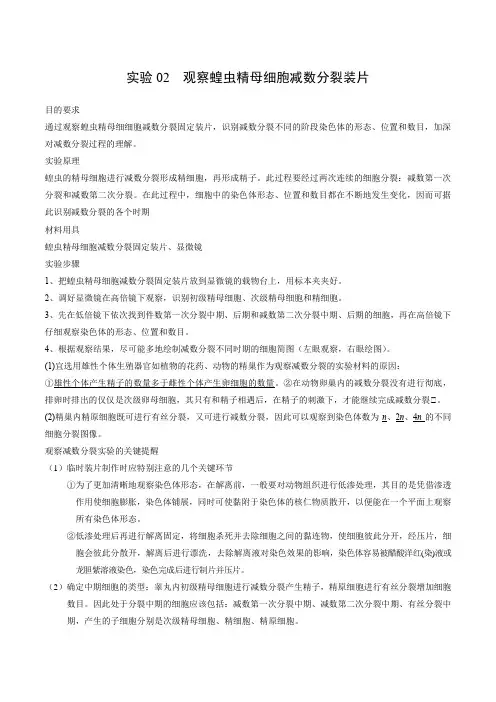 实验02观察蝗虫精母细胞减数分裂装片(原卷版)