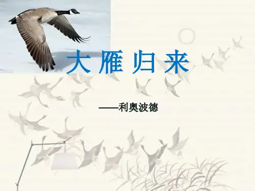 大雁归来—利奥波德