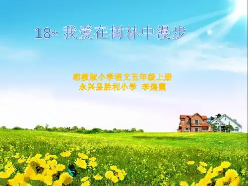 我爱在林中漫步