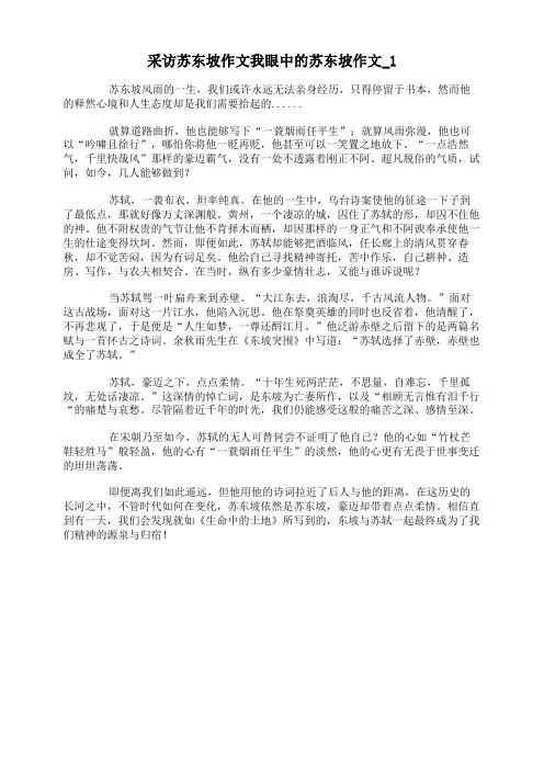 采访苏东坡作文我眼中的苏东坡作文
