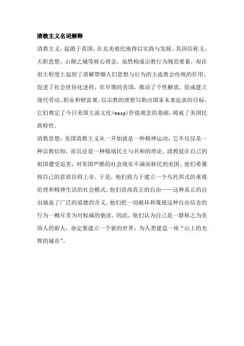 清教主义名词解释