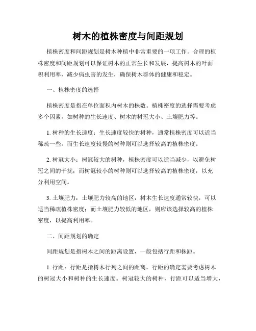 树木的植株密度与间距规划