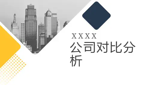公司对比分析