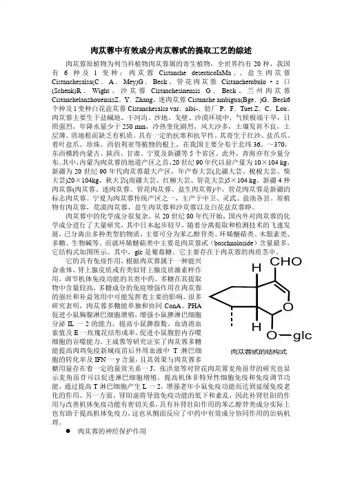 肉苁蓉中有效成分肉苁蓉甙的提取工艺的综述