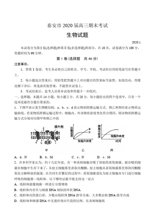 山东省泰安市2020届高三期末考试生物试题(带答案)