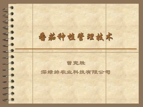 番茄种植管理技术