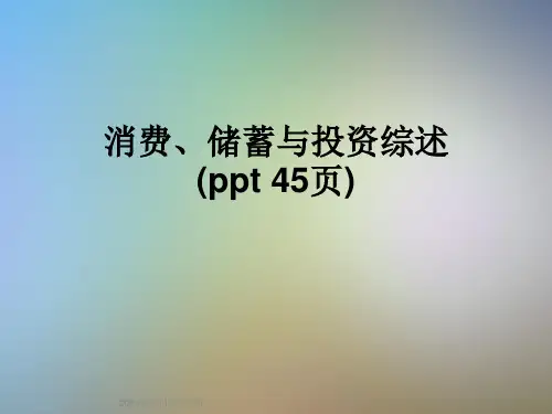 消费、储蓄与投资综述(ppt-45页)