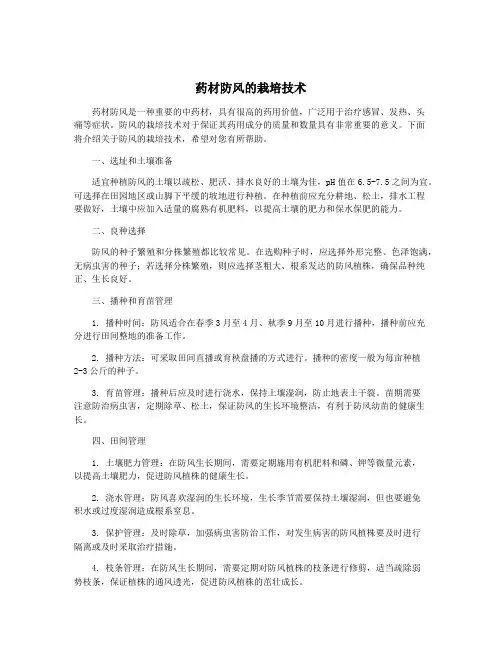 药材防风的栽培技术