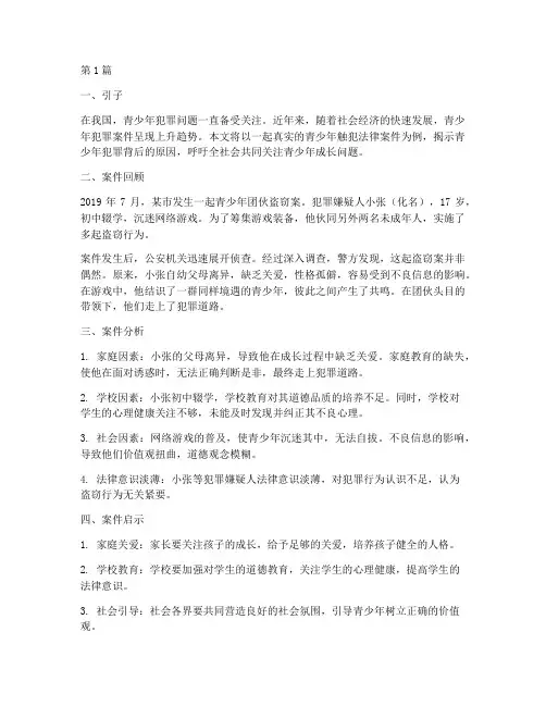 青少年触犯法律的案件(3篇)