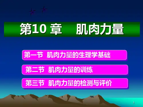 肌肉力量PPT课件