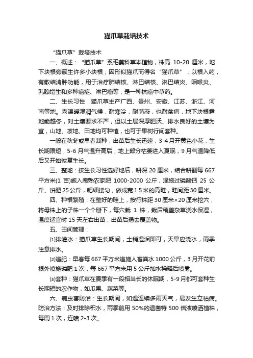 猫爪草栽培技术