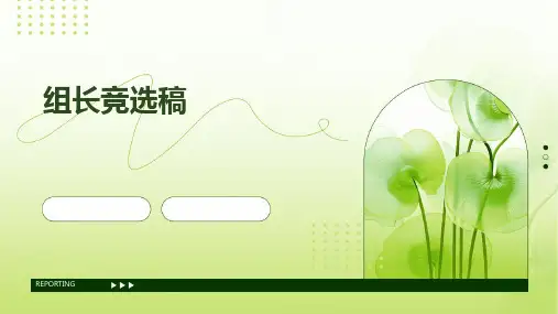 组长竞选稿PPT