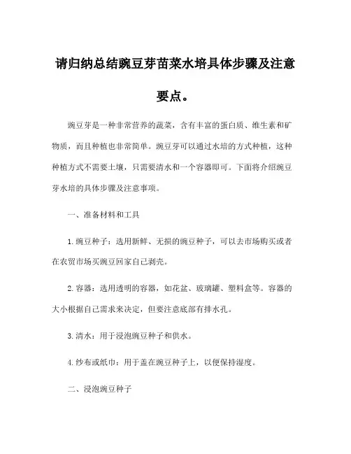 请归纳总结豌豆芽苗菜水培具体步骤及注意要点。