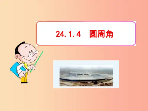 九年级数学上册 第二十四章 圆 24.1 圆 24.1.4 圆周角课件  新人教版