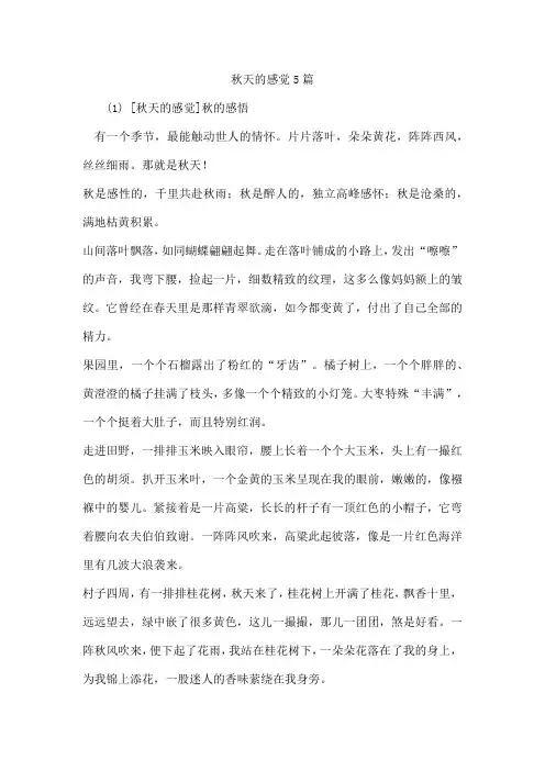 秋天的感觉5篇