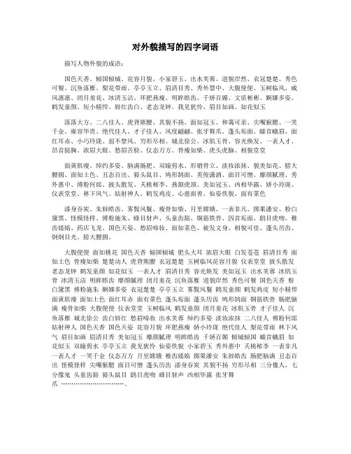 对外貌描写的四字词语