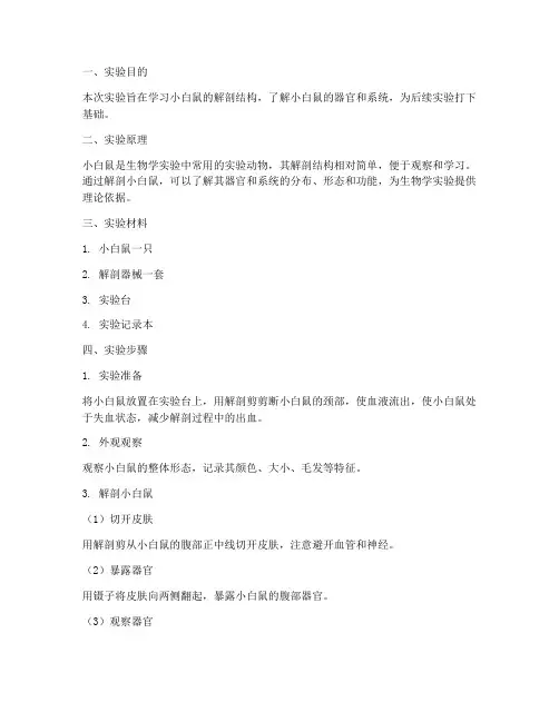解剖小白鼠实验报告