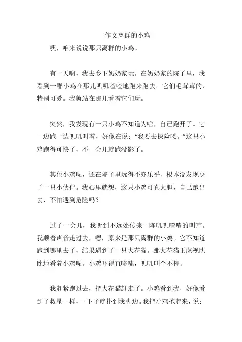 作文离群的小鸡