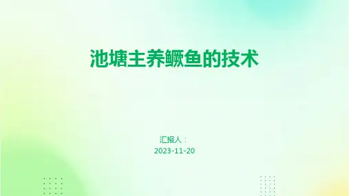 池塘主养鳜鱼的技术