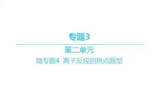 苏教版高中化学必修第一册精品课件 分层作业本 专题3-第二单元-微专题4 离子反应的热点题型