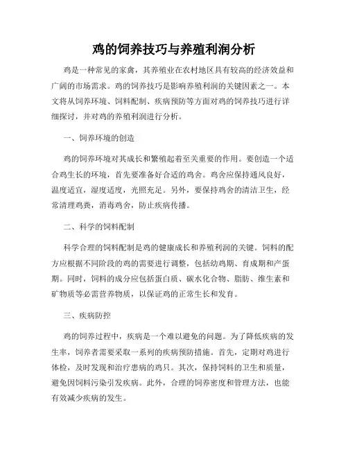 鸡的饲养技巧与养殖利润分析