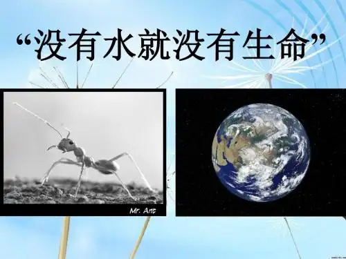 3.3绿色植物与生物圈的水循环
