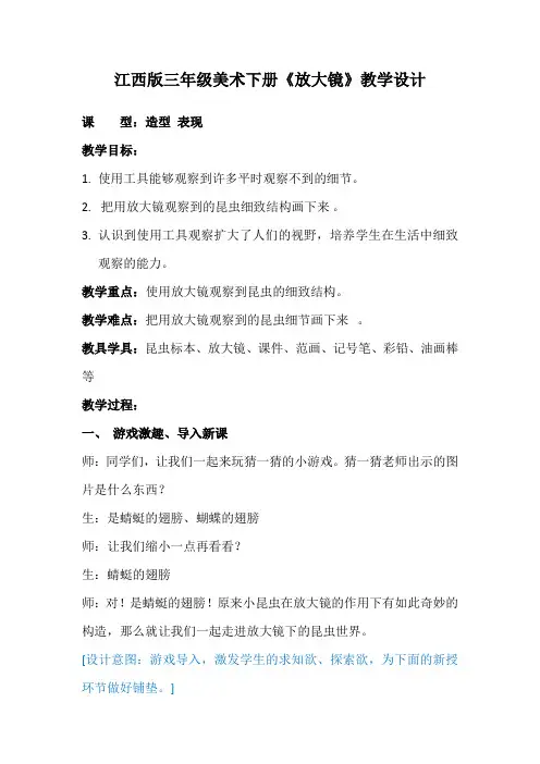 《放大镜》教学设计